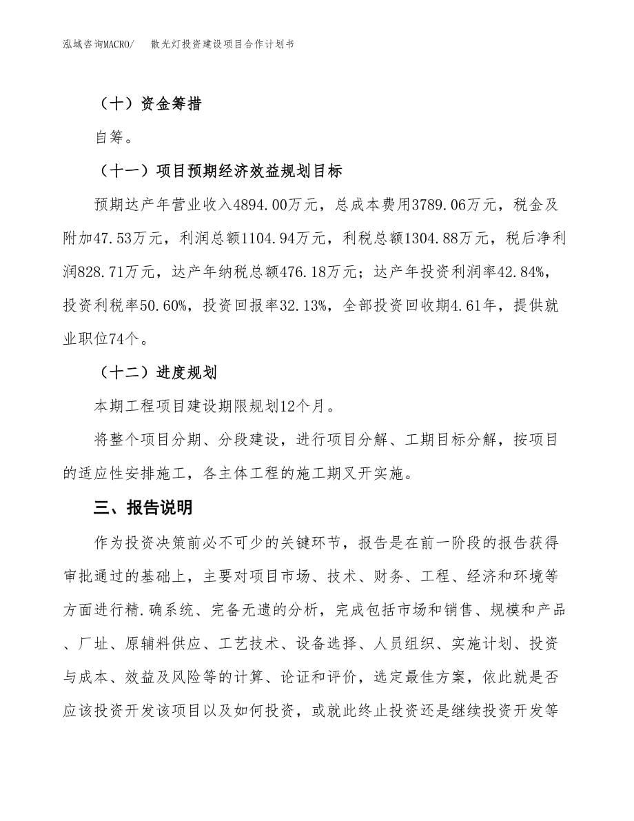 散光灯投资建设项目合作计划书（样本）_第5页