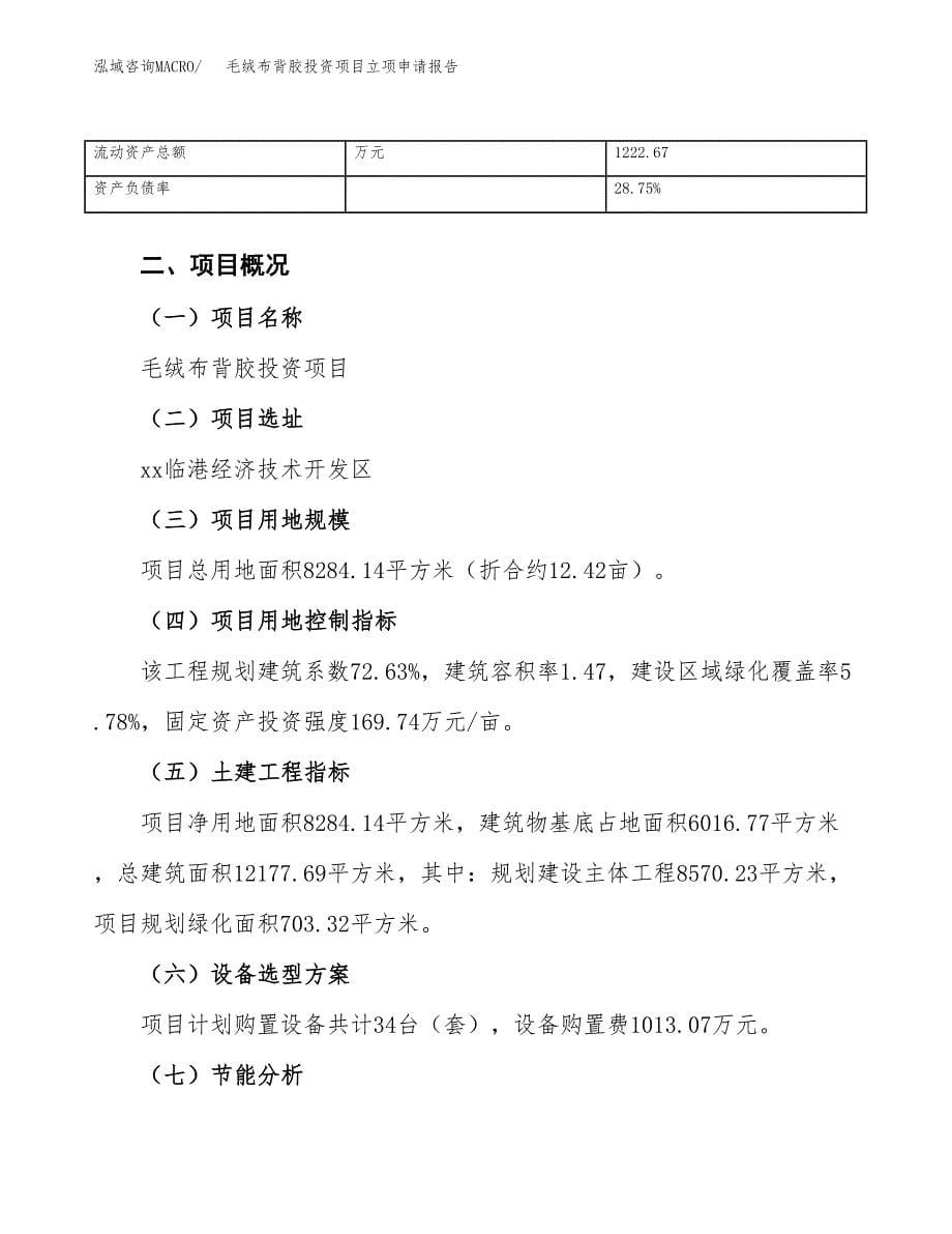 关于建设毛绒布背胶投资项目立项申请报告.docx_第5页