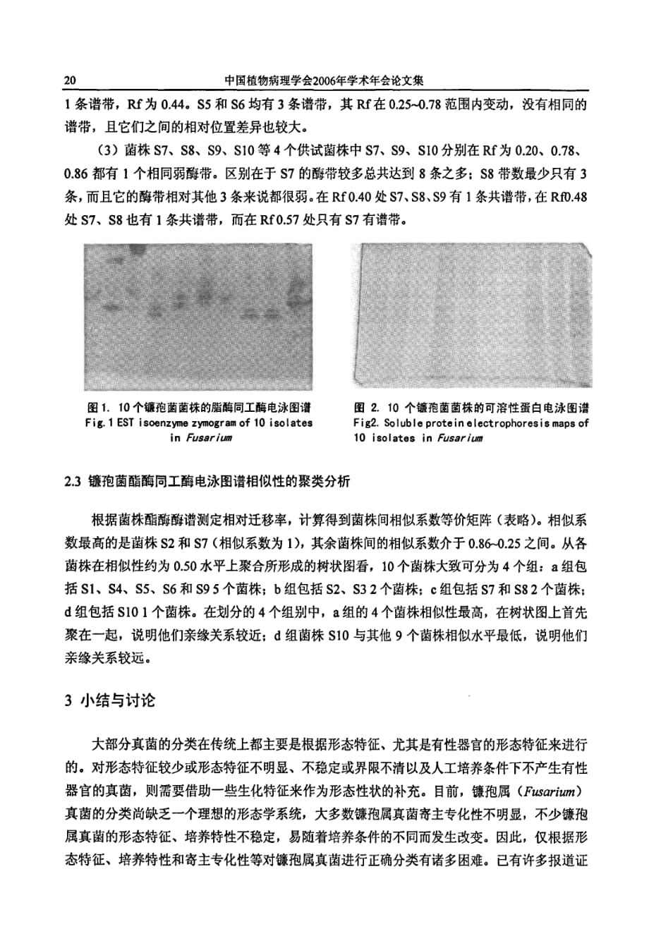 几种镰孢菌的酯酶同工酶和可溶性蛋白电泳分析_第3页