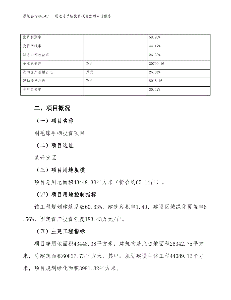 关于建设羽毛球手柄投资项目立项申请报告.docx_第4页