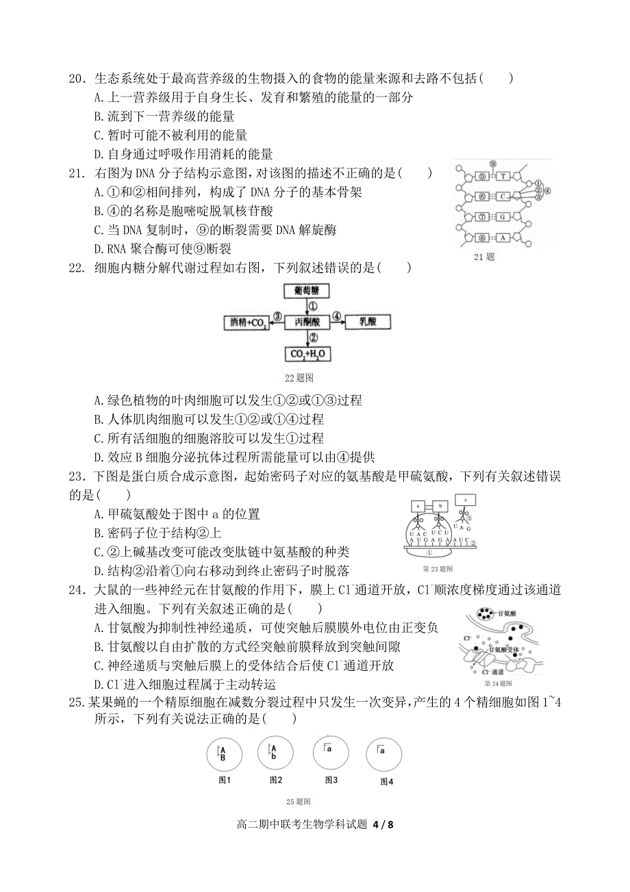 浙江省温州市新力量联盟2017-2018年高二（下）学期期中考试生物试题.pdf_第4页