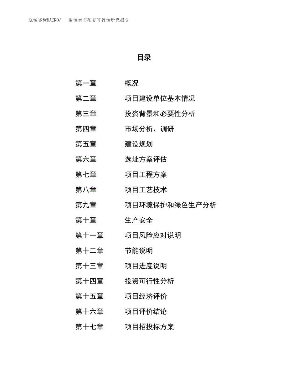 关于投资建设活性炭布项目可行性研究报告.docx_第1页