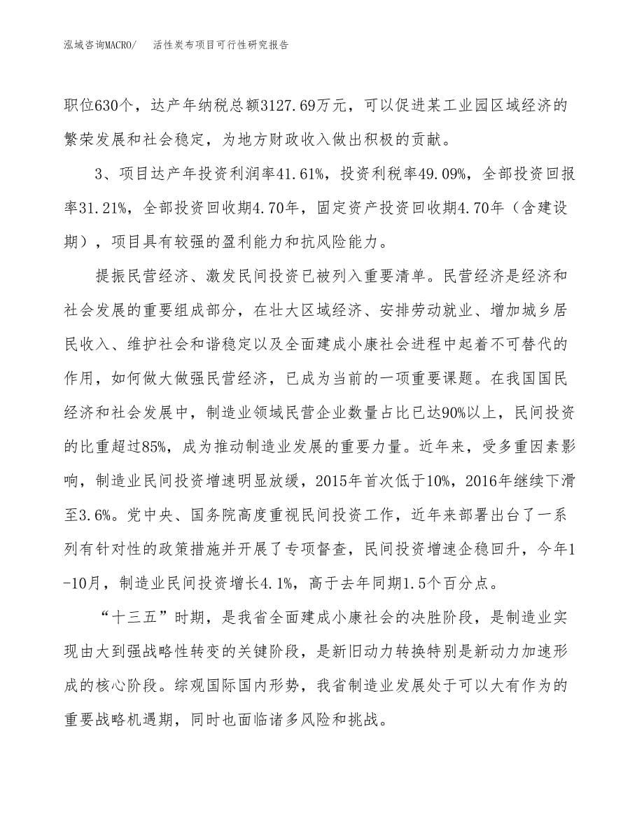 关于投资建设活性炭布项目可行性研究报告.docx_第5页