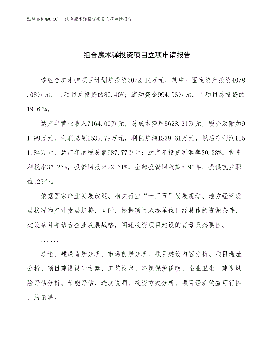 关于建设组合魔术弹投资项目立项申请报告.docx_第1页