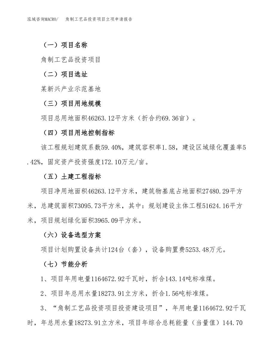 关于建设角制工艺品投资项目立项申请报告.docx_第5页