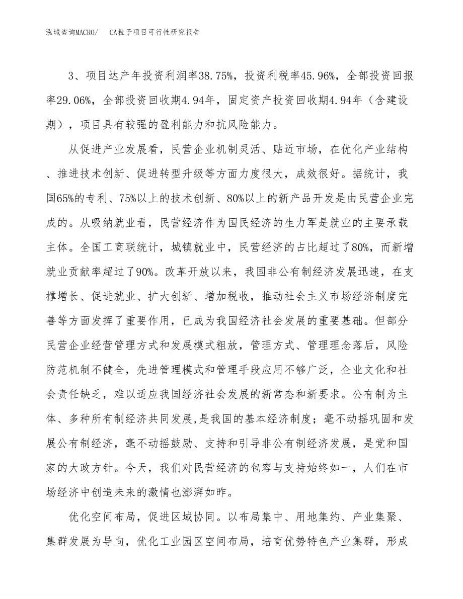 关于投资建设CA粒子项目可行性研究报告.docx_第5页