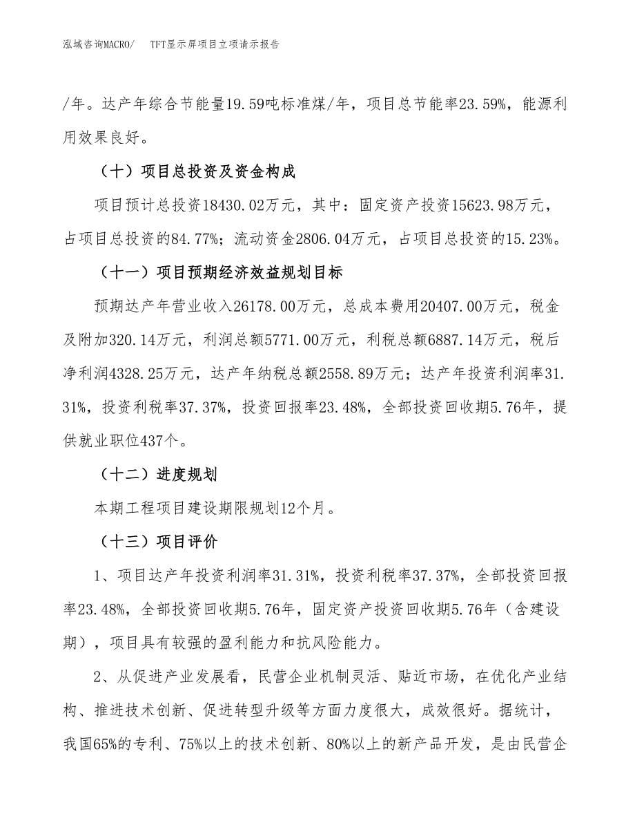 TFT显示屏项目立项请示报告_第5页