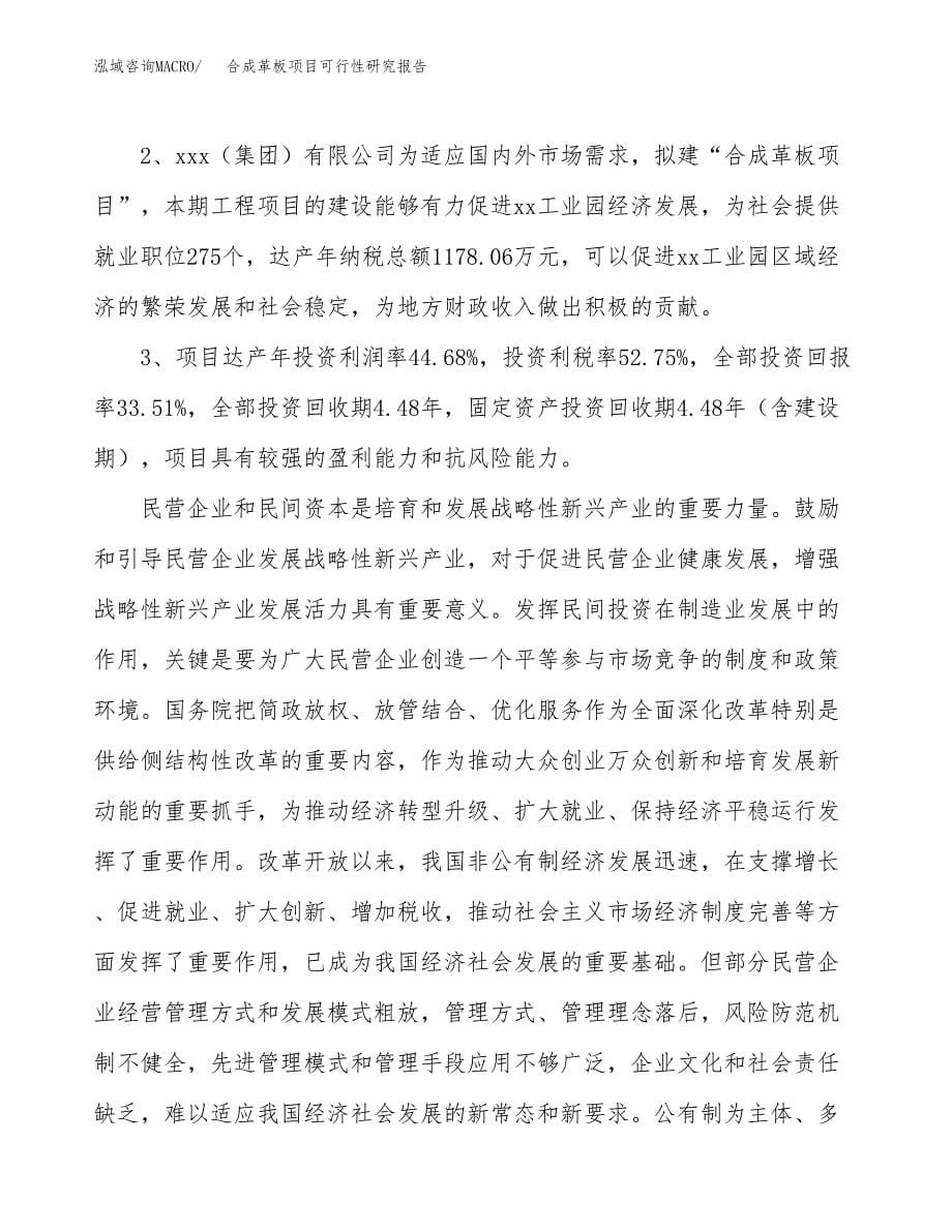 关于投资建设合成革板项目可行性研究报告.docx_第5页