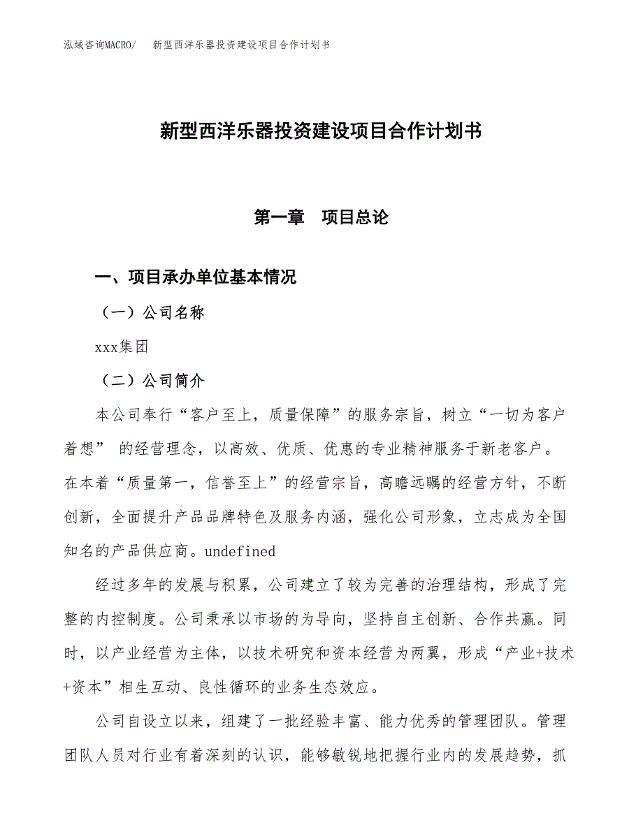 新型西洋乐器投资建设项目合作计划书（样本）_第1页