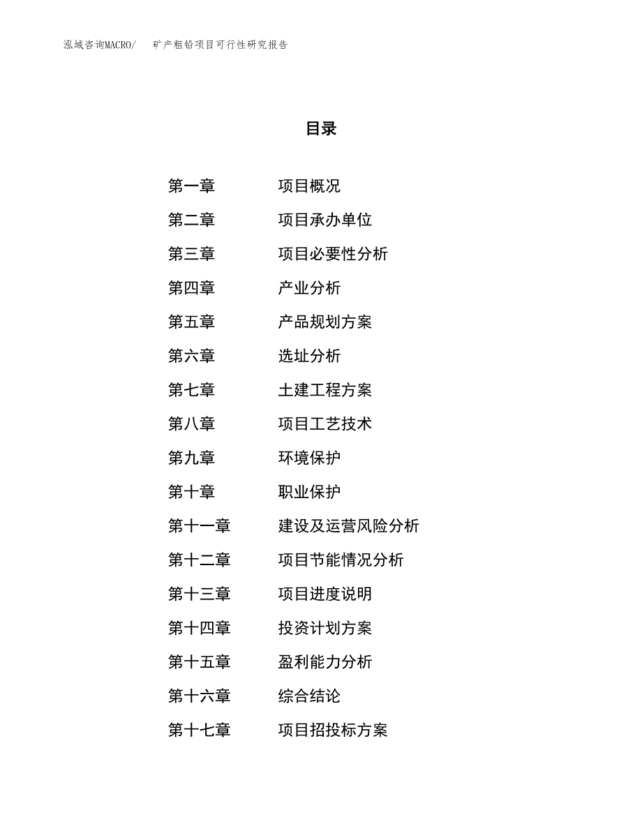 关于投资建设矿产粗铅项目可行性研究报告.docx_第1页