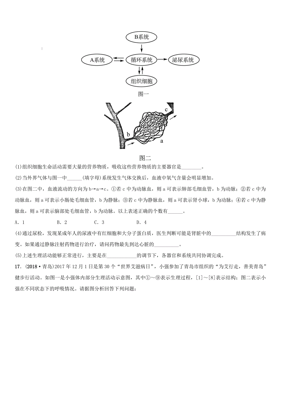 山东省淄博市2019中考生物第四单元第五章真题模拟实训（含答案）_第4页