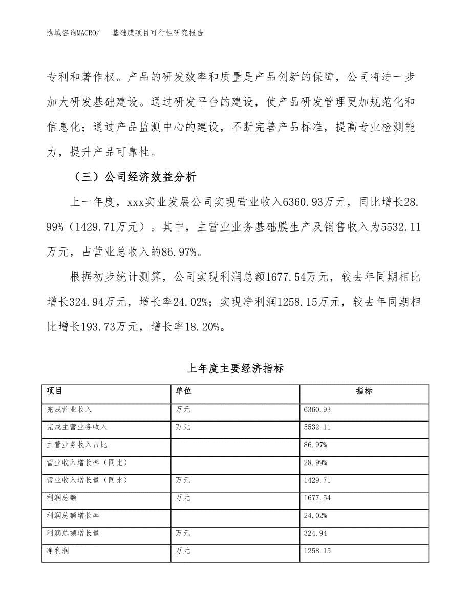 基础膜项目可行性研究报告（总投资5000万元）（25亩）_第5页