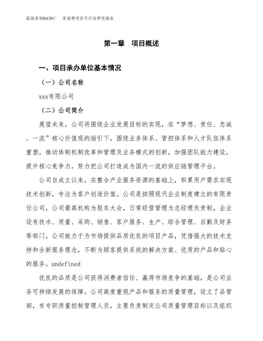 变速带项目可行性研究报告（总投资6000万元）（24亩）_第3页