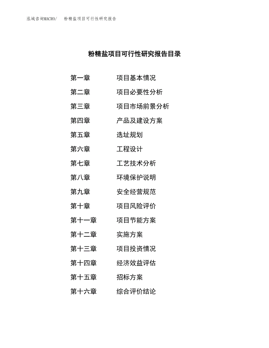 粉精盐项目可行性研究报告（总投资4000万元）（17亩）_第2页