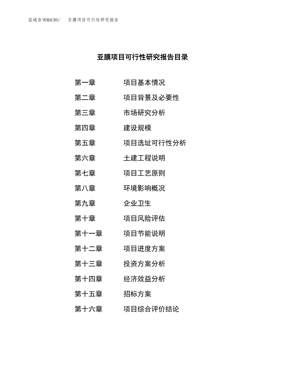 亚膜项目可行性研究报告（总投资19000万元）（83亩）_第2页