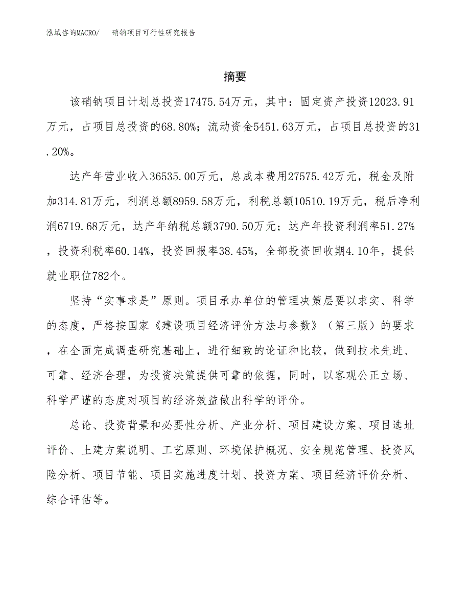 硝钠项目可行性研究报告（总投资17000万元）（62亩）_第2页