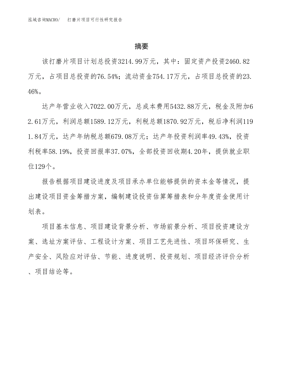 打磨片项目可行性研究报告（总投资3000万元）（14亩）_第2页