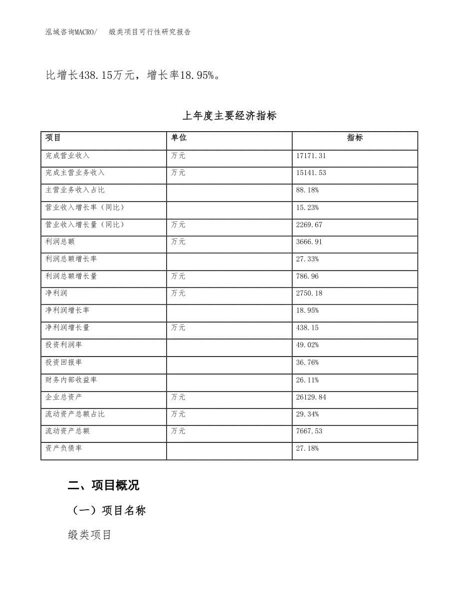 缎类项目可行性研究报告（总投资11000万元）（45亩）_第5页