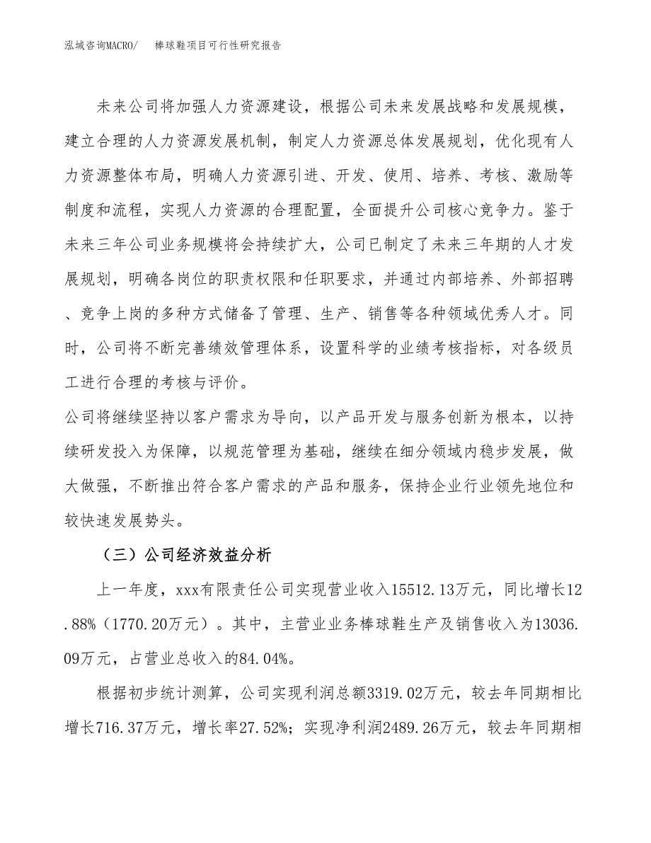 棒球鞋项目可行性研究报告（总投资9000万元）（36亩）_第5页