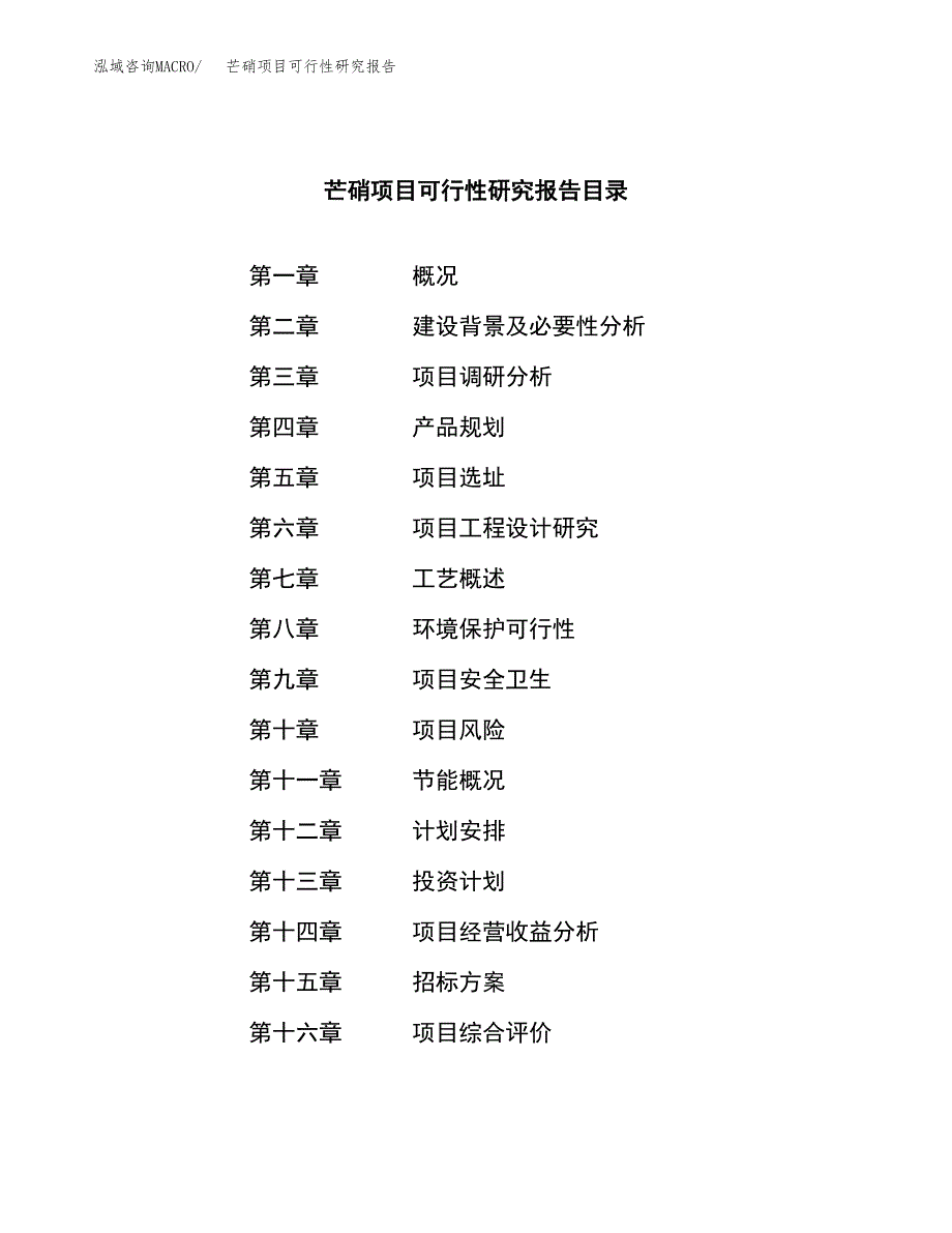 芒硝项目可行性研究报告（总投资13000万元）（62亩）_第2页