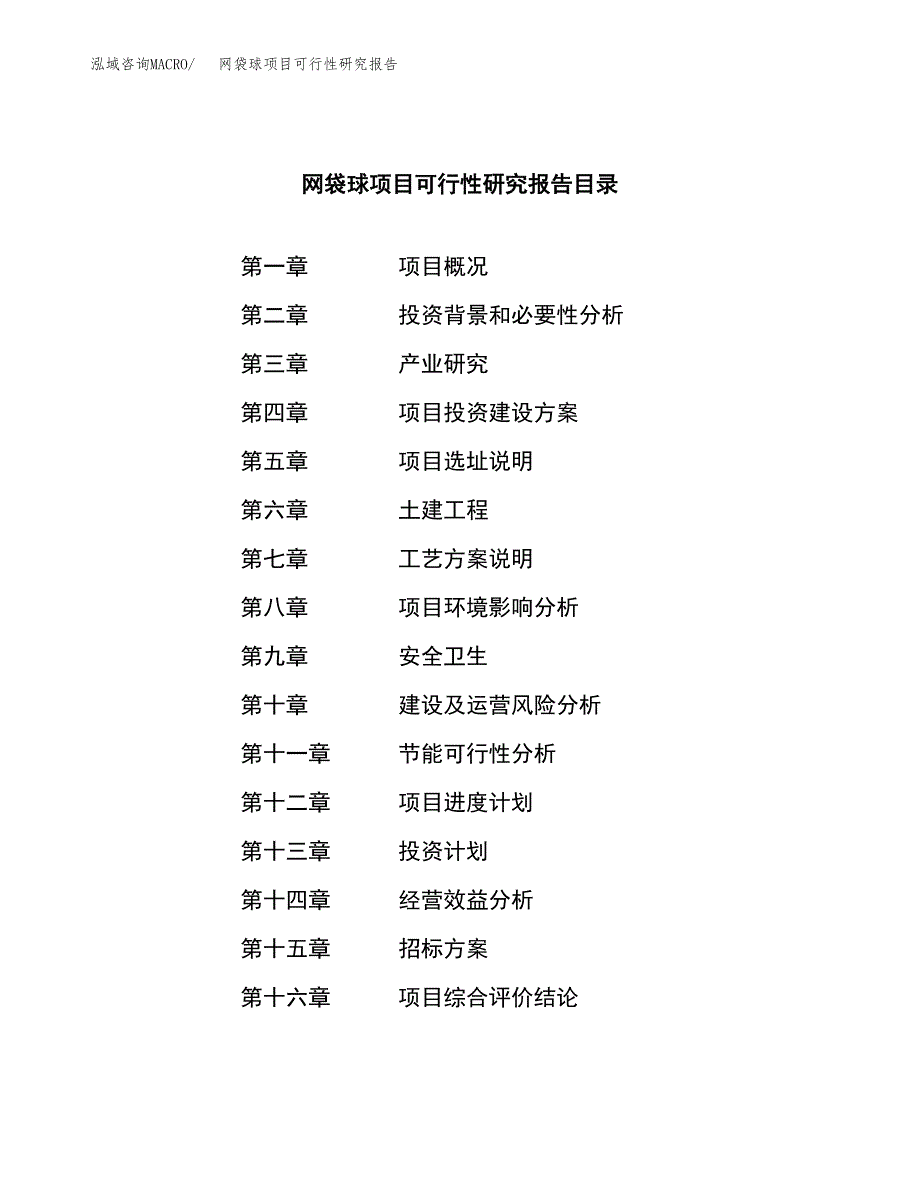 网袋球项目可行性研究报告（总投资2000万元）（10亩）_第2页