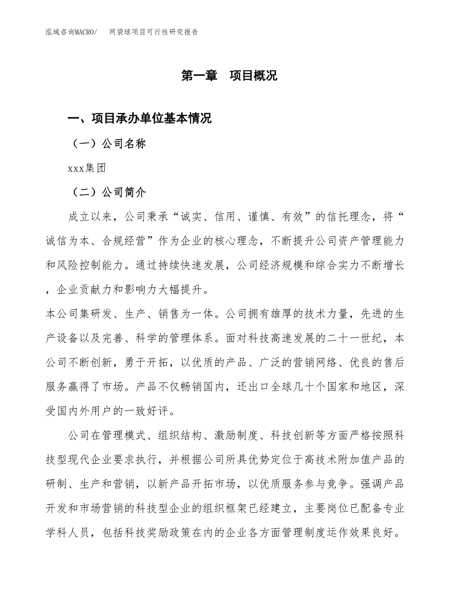 网袋球项目可行性研究报告（总投资2000万元）（10亩）_第3页