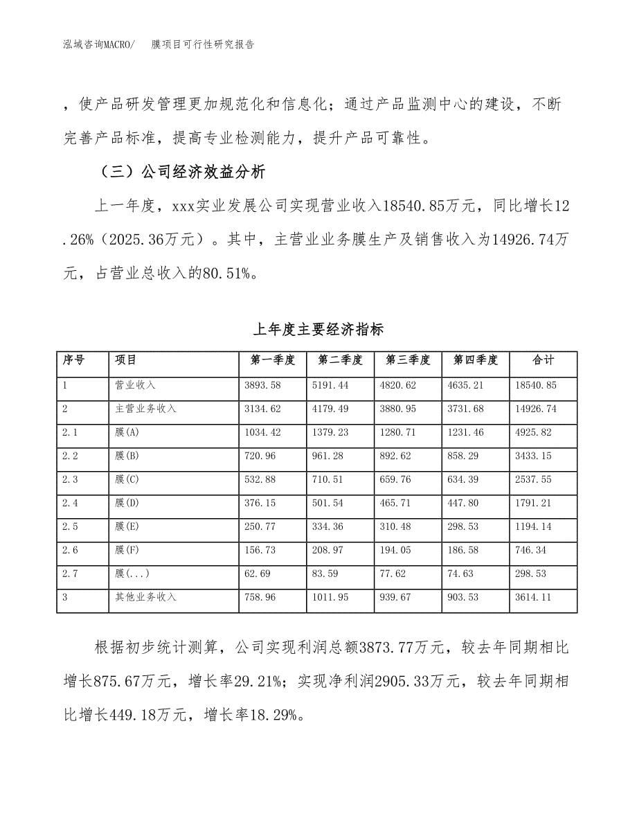 膜项目可行性研究报告（总投资17000万元）（77亩）_第5页