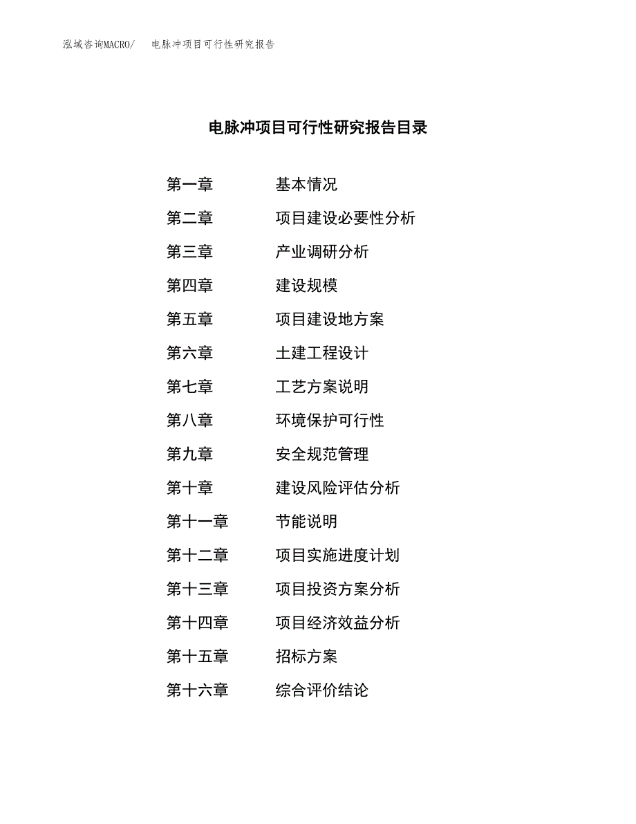 电脉冲项目可行性研究报告（总投资22000万元）（88亩）_第2页