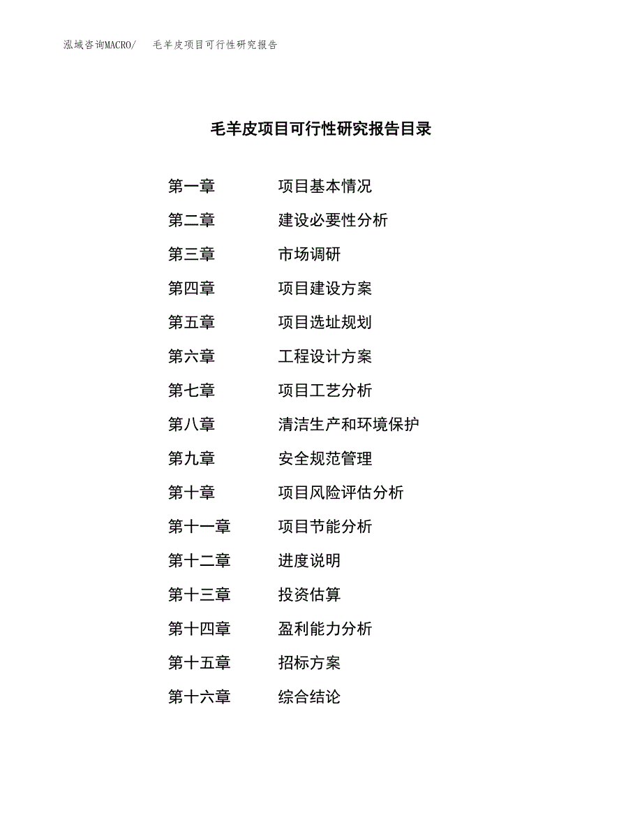 毛羊皮项目可行性研究报告（总投资10000万元）（44亩）_第2页