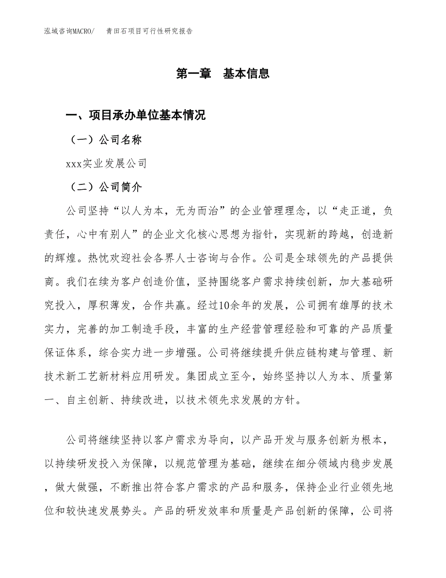 青田石项目可行性研究报告（总投资11000万元）（47亩）_第3页