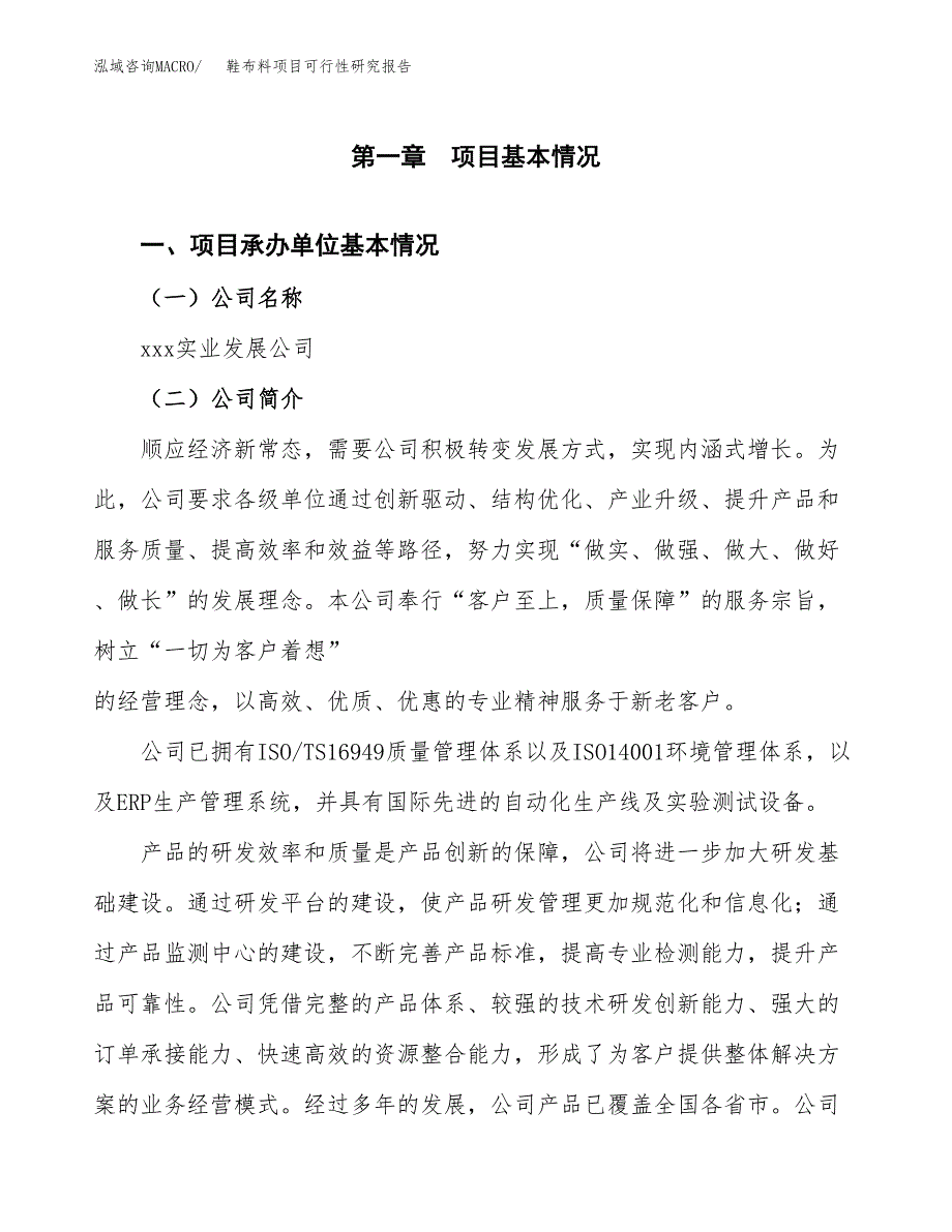 鞋布料项目可行性研究报告（总投资14000万元）（63亩）_第3页