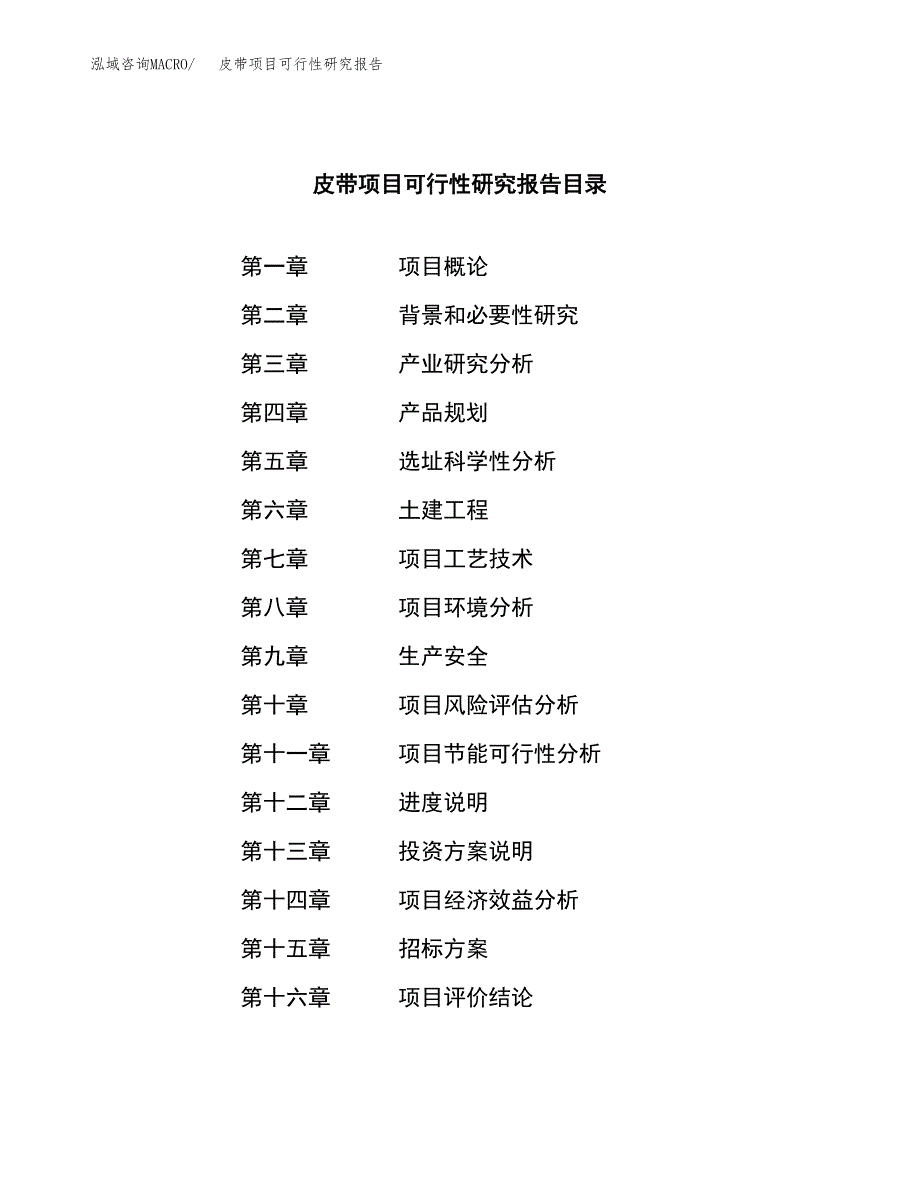 皮带项目可行性研究报告（总投资16000万元）（72亩）_第2页