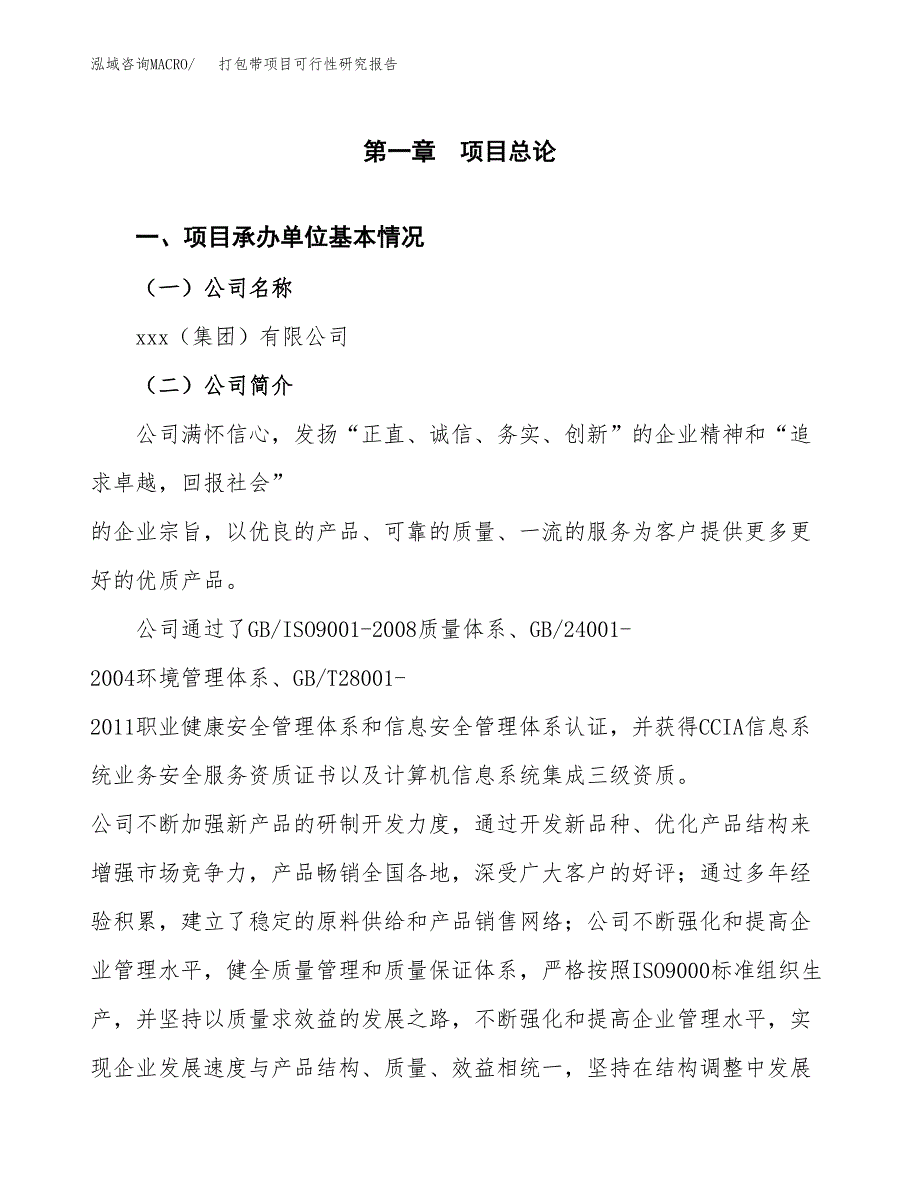 打包带项目可行性研究报告（总投资4000万元）（16亩）_第3页