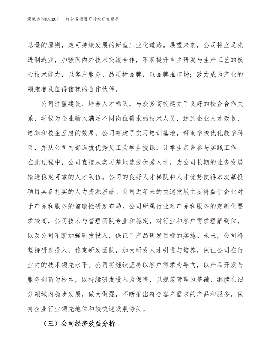 打包带项目可行性研究报告（总投资4000万元）（16亩）_第4页