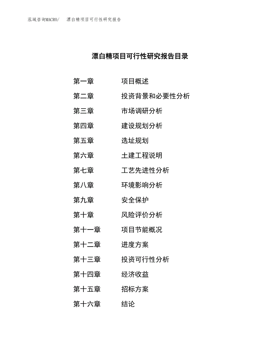 漂白精项目可行性研究报告（总投资7000万元）（33亩）_第2页