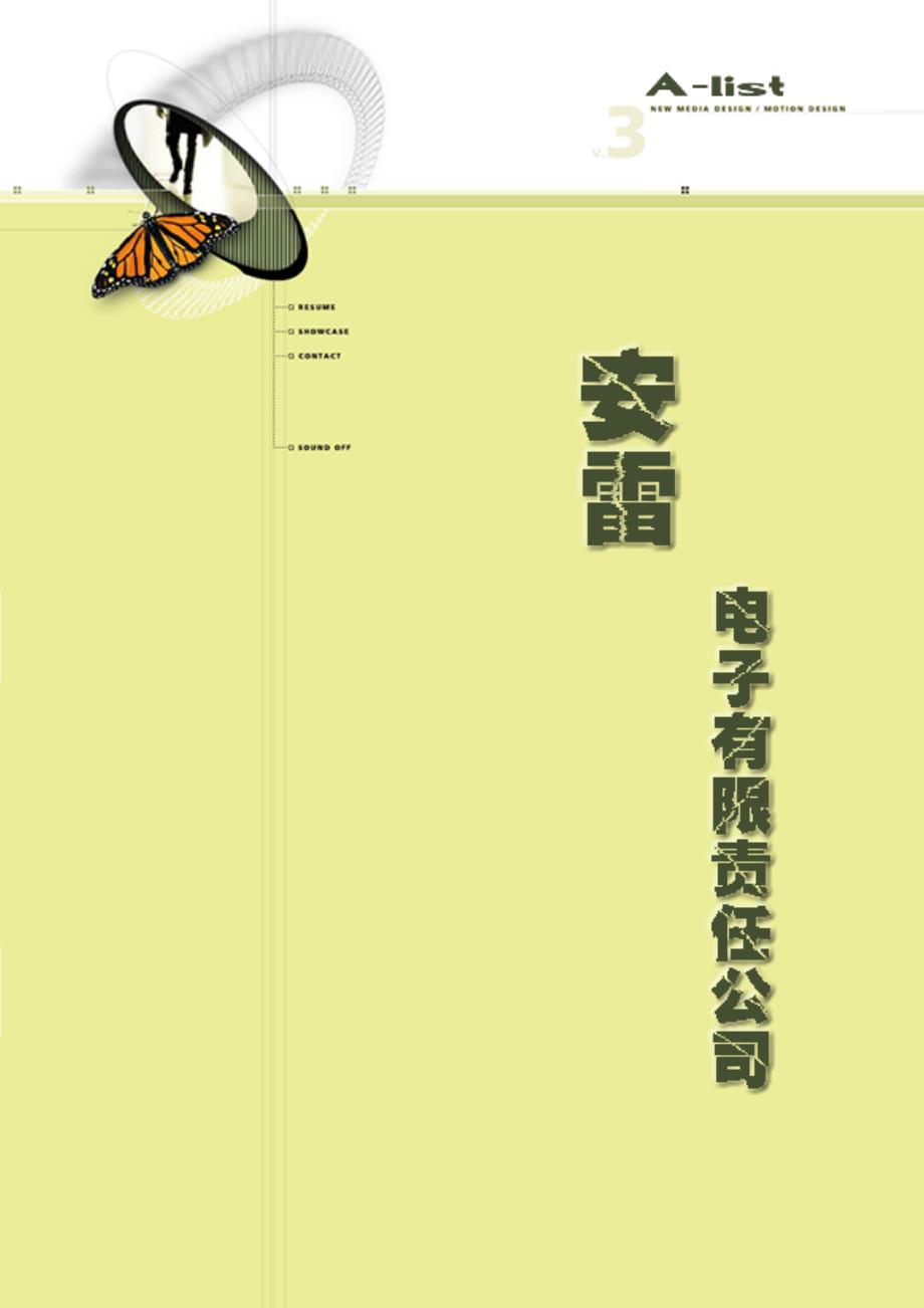 2019年宁波安雷电子有限公司－创业计划书_第1页