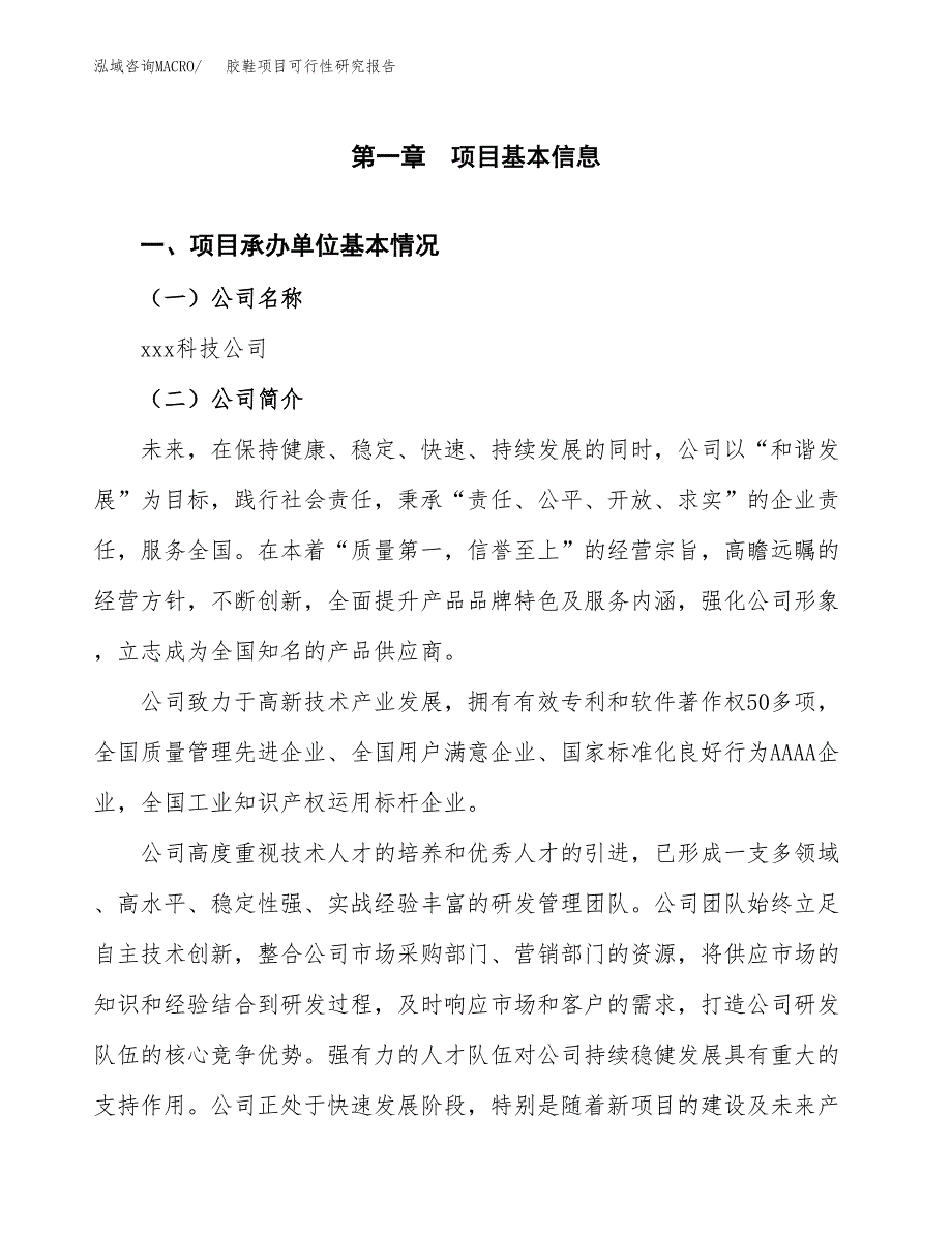 胶鞋项目可行性研究报告（总投资8000万元）（34亩）_第3页