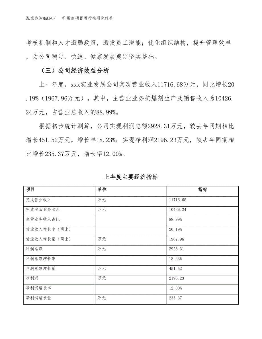 抗爆剂项目可行性研究报告（总投资14000万元）（62亩）_第5页