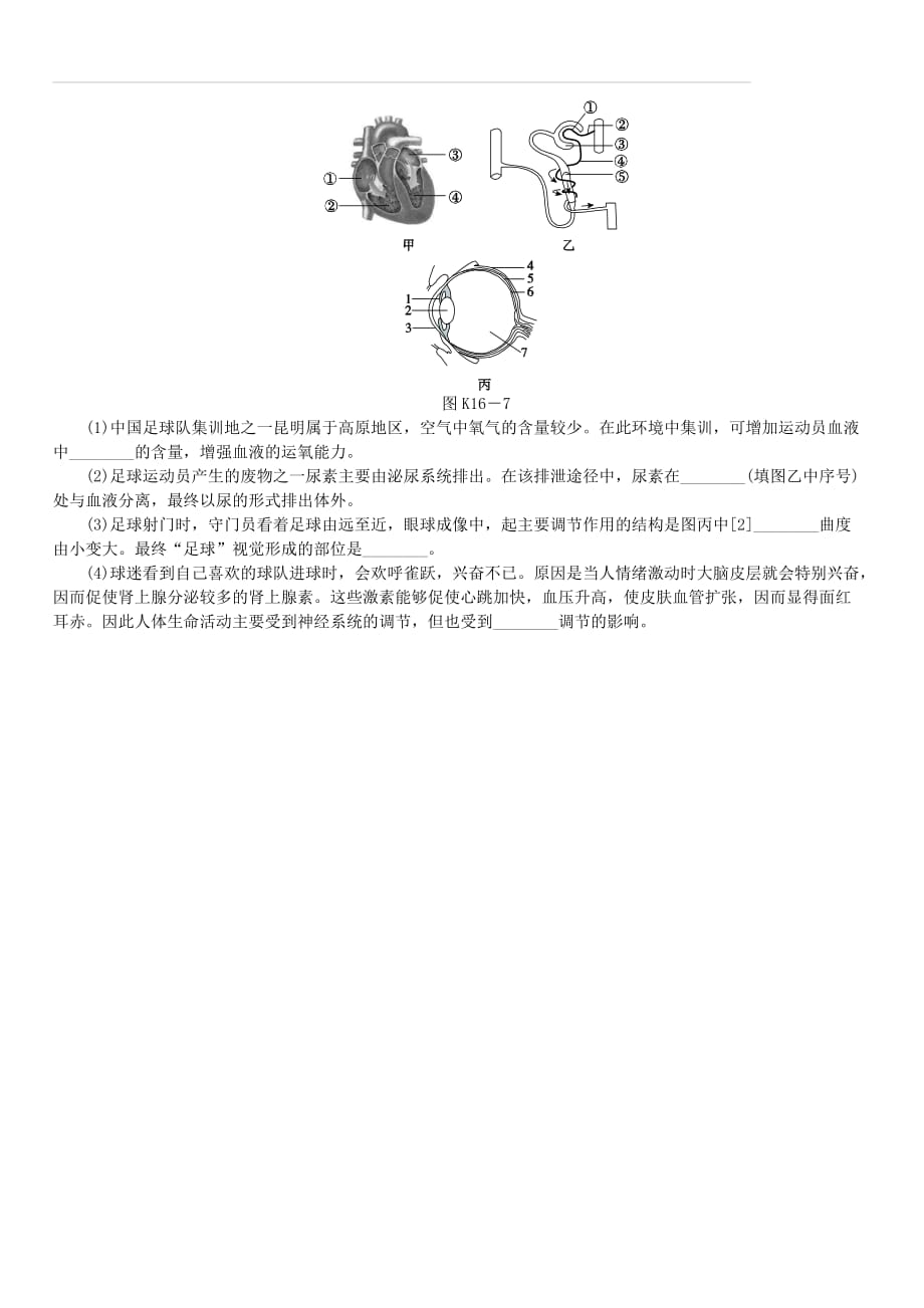 【北京专版】2018年中考方案（16）人体系统调节生命活动（一）作业手册（含答案）_第4页