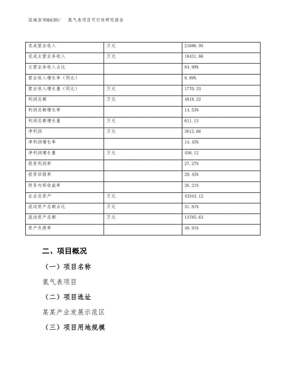 氢气表项目可行性研究报告（总投资20000万元）（88亩）_第5页