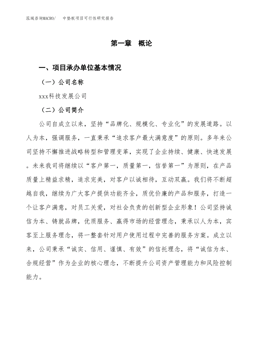 中垫板项目可行性研究报告（总投资6000万元）（28亩）_第4页