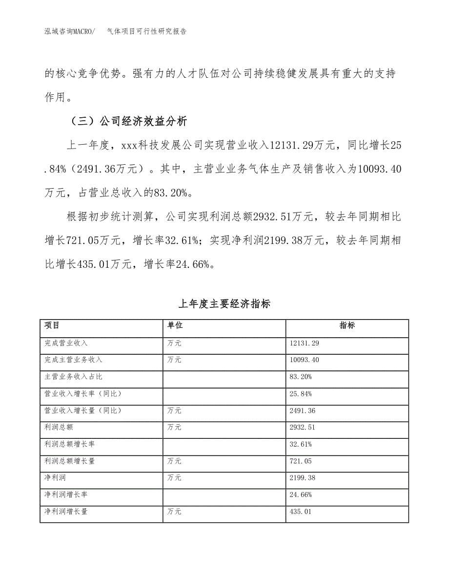 气体项目可行性研究报告（总投资14000万元）（69亩）_第5页