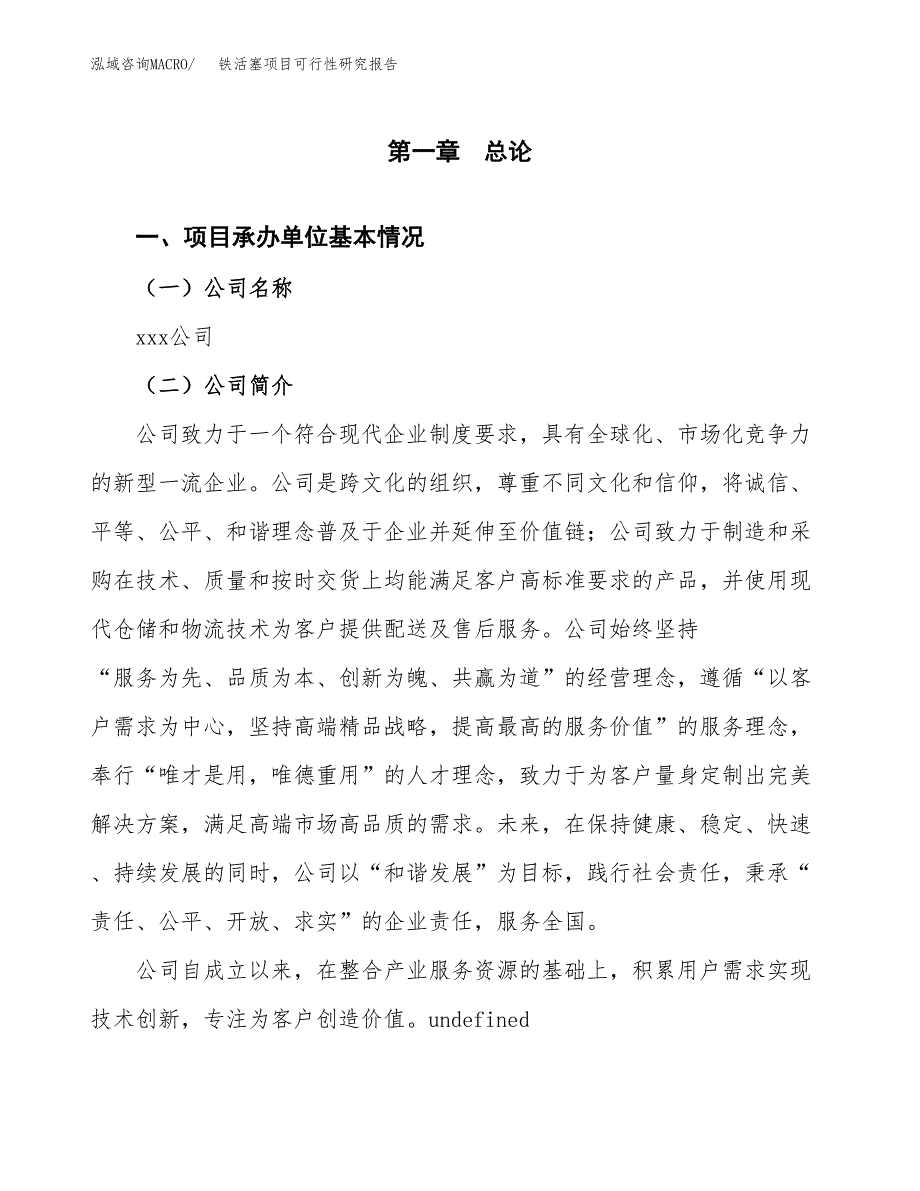 铁活塞项目可行性研究报告（总投资9000万元）（35亩）_第3页