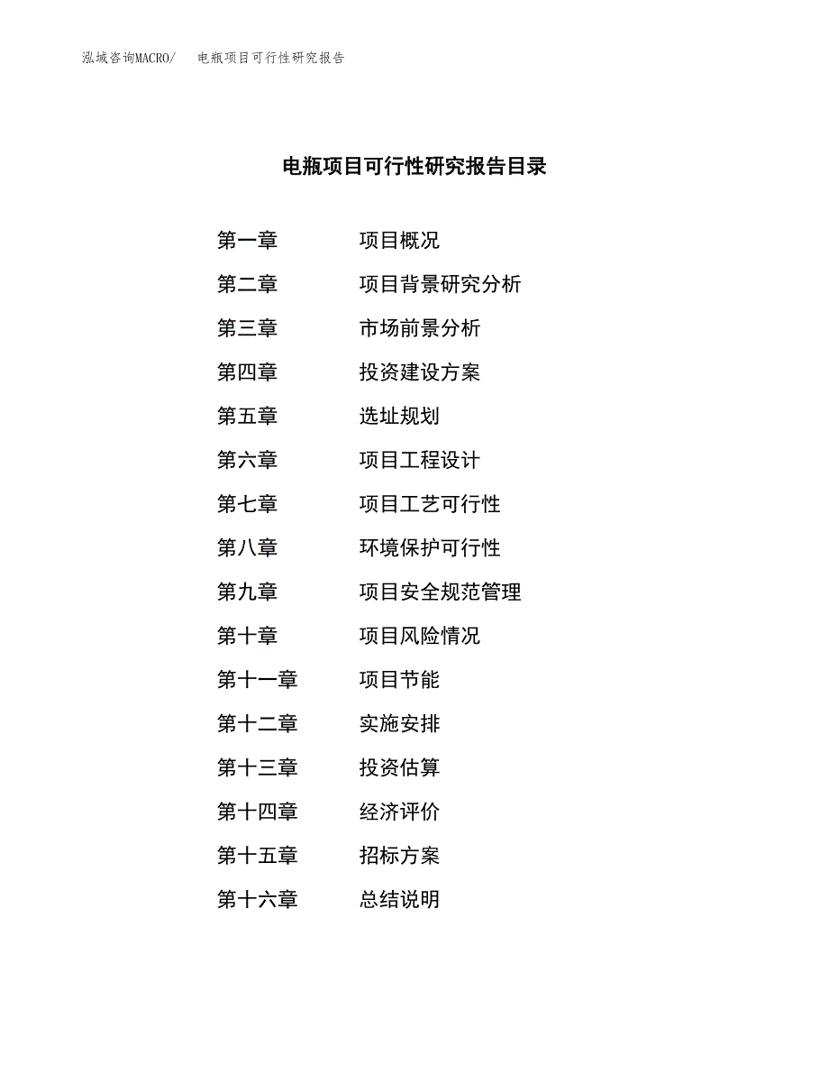 电瓶项目可行性研究报告（总投资19000万元）（88亩）_第2页