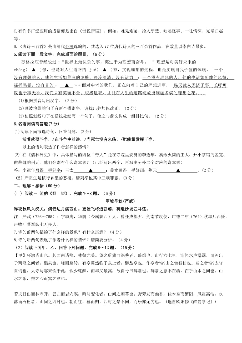 江苏省连云港市灌南县扬州路实验学校2019-2020学年度第一学期期中质量调研九年级语文试卷_第2页