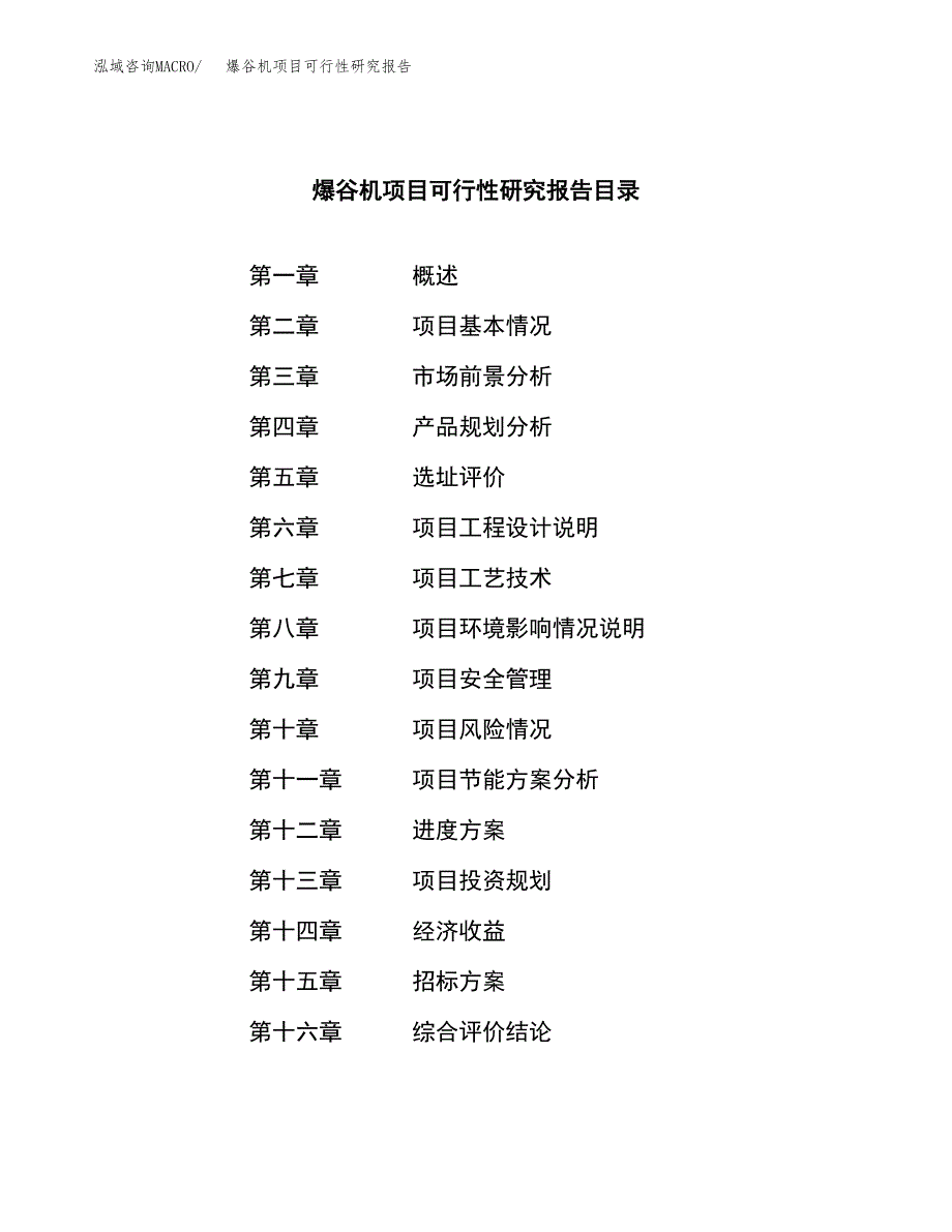 爆谷机项目可行性研究报告（总投资9000万元）（36亩）_第2页