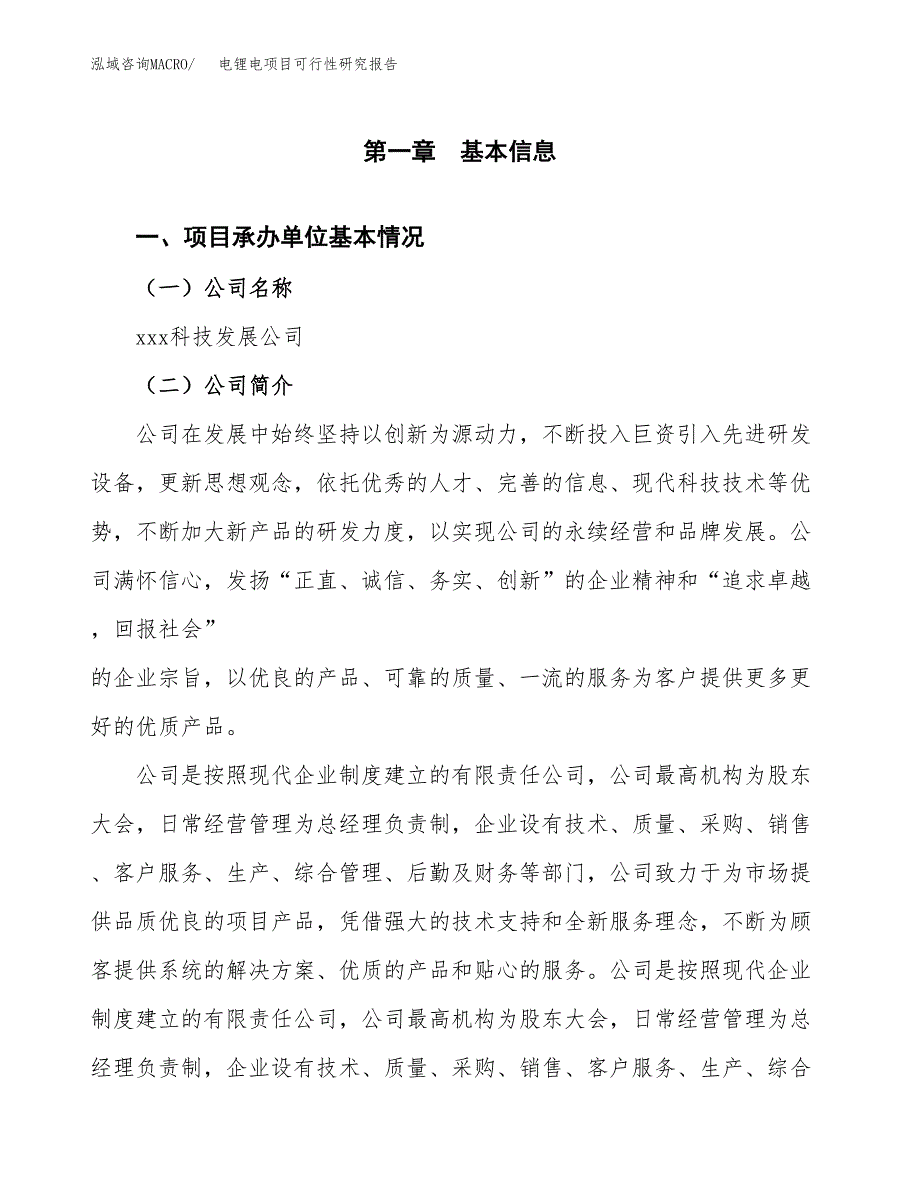 电锂电项目可行性研究报告（总投资19000万元）（84亩）_第3页