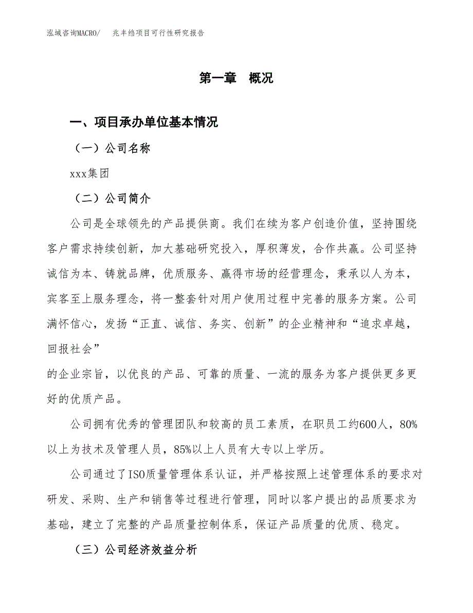 兆丰绉项目可行性研究报告（总投资3000万元）（14亩）_第3页