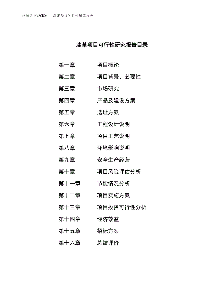 漆革项目可行性研究报告（总投资8000万元）（37亩）_第2页