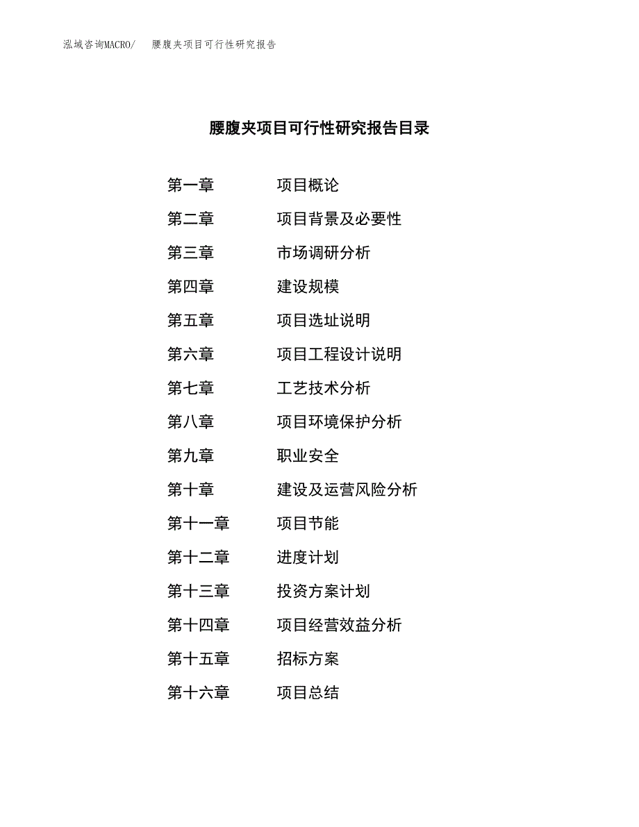 腰腹夹项目可行性研究报告（总投资10000万元）（45亩）_第2页